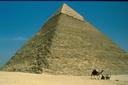 Camels and Pyramid.